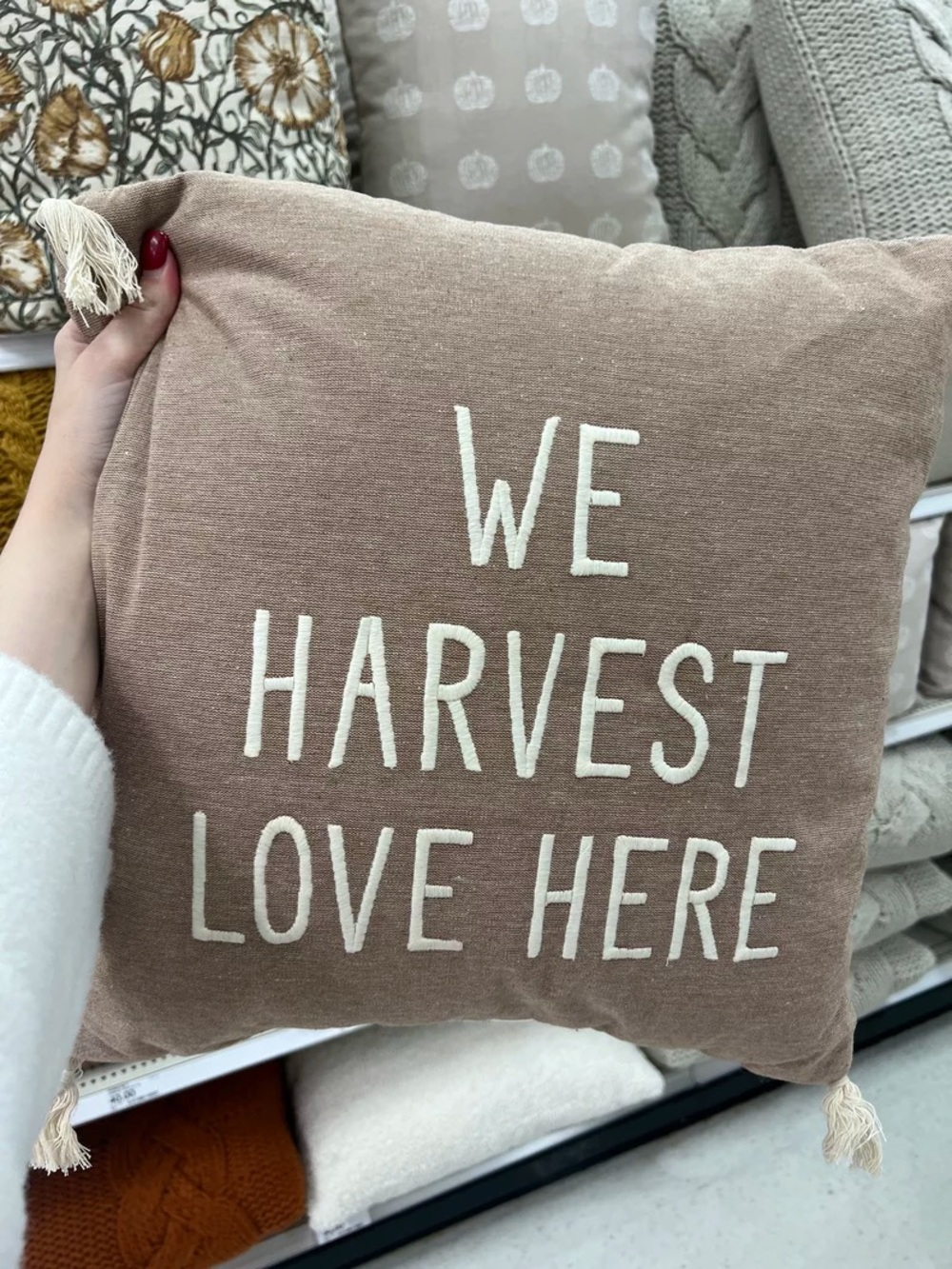 We Harvest Love Here Fall Decoration Pillow Living Room Accent Accessories Throw